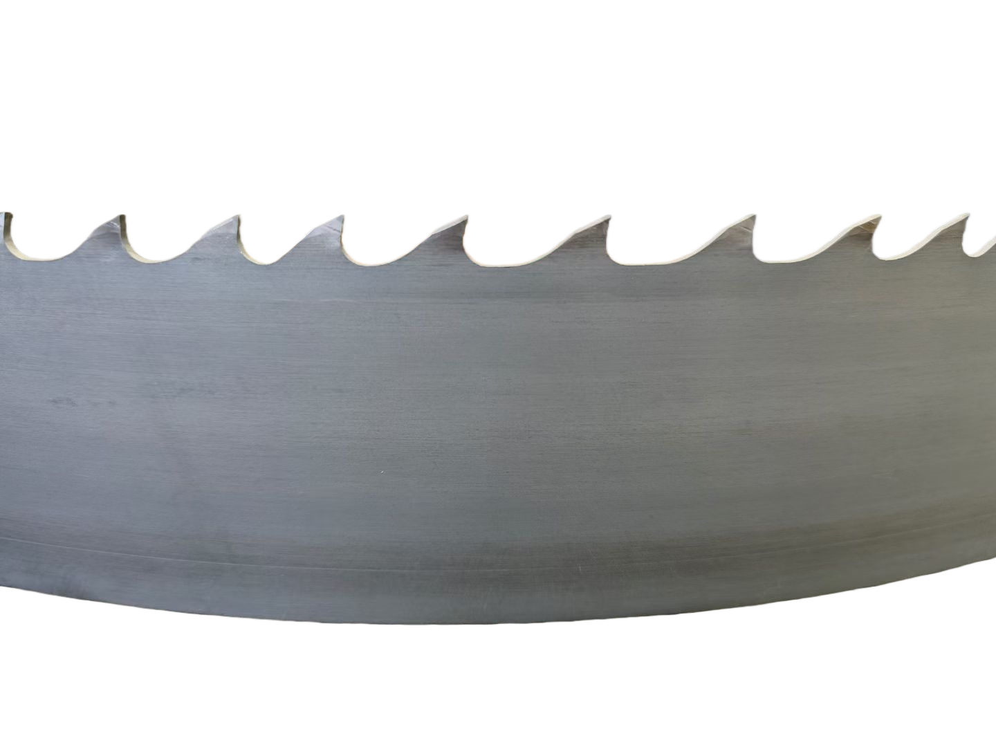 微信图片_20250925124644_副本