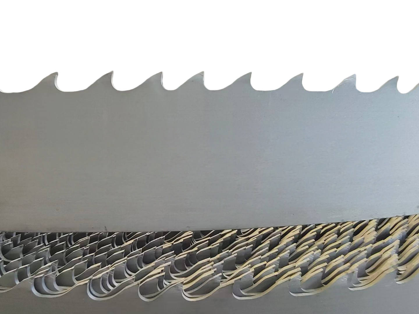 微信图片_20250925124718_副本